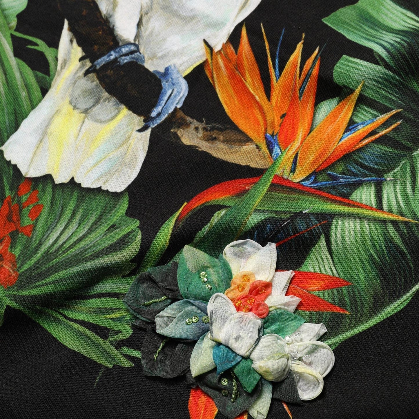 Dolce & Gabbana Black Tropical Print Cotton Round Neck T-Shirt