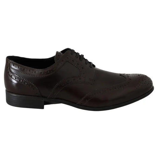 Dolce & Gabbana Brown Leather Broques Oxford Wingtip Shoes